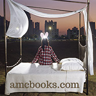www.amcbooks.com